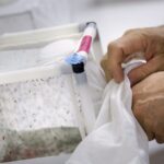 Australia_Launches_New_Venture_to_Combat_Disease_Spreading_Mosquitoes