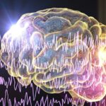 Australian Researchers Discover Protein Breakthrough in Seizure Treatment