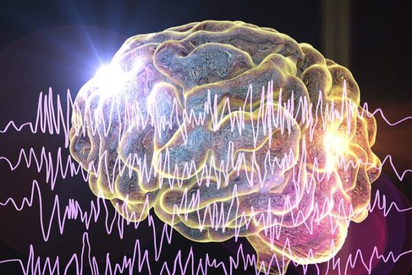 Australian Researchers Discover Protein Breakthrough in Seizure Treatment Australian Researchers Discover Protein Breakthrough in Seizure Treatment