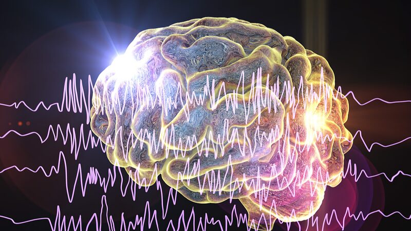 Australian_Researchers_Discover_Protein_Breakthrough_in_Seizure_Treatment - Khabar Asia Australian Researchers Discover Protein Breakthrough in Seizure Treatment