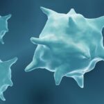 Australian_Scientists_Discover_New_Cells_That_Could_Revolutionize_Tissue_Repair
