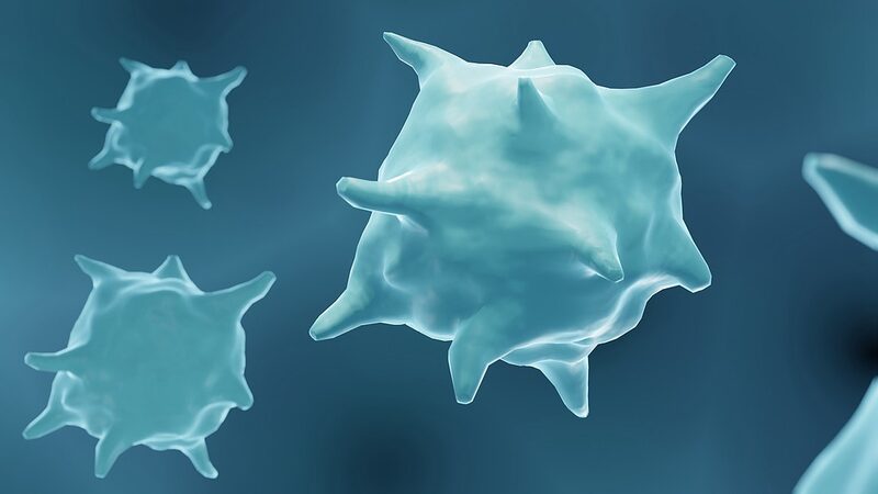 Australian_Scientists_Discover_New_Cells_That_Could_Revolutionize_Tissue_Repair - Khabar Asia Australian_Scientists_Discover_New_Cells_That_Could_Revolutionize_Tissue_Repair
