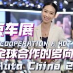 Auto China 2024 Sparks Global Cooperation in New Energy Vehicles video poster