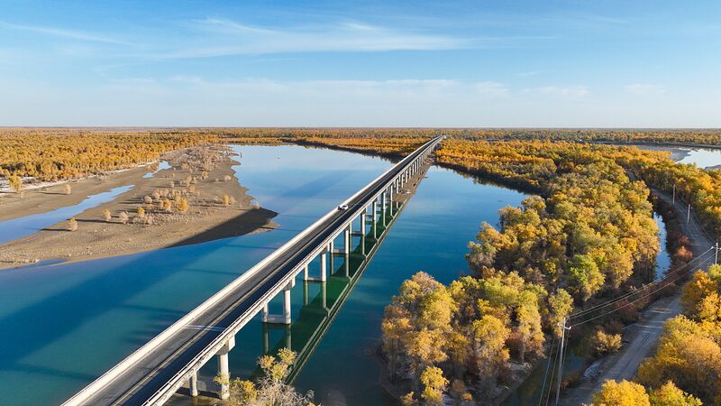 Autumn_Brilliance_Golden_Poplars_Adorn_Tarim_River_in_Xinjiang - Khabar Asia Autumn Brilliance: Golden Poplars Adorn Tarim River in Xinjiang