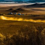 Autumn Splendor: Saihanba Plateau's Transformation into a Green Paradise video poster