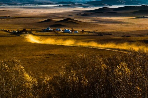 Autumn Splendor: Saihanba Plateau’s Transformation into a Green Paradise Autumn Splendor: Saihanba Plateau's Transformation into a Green Paradise video poster