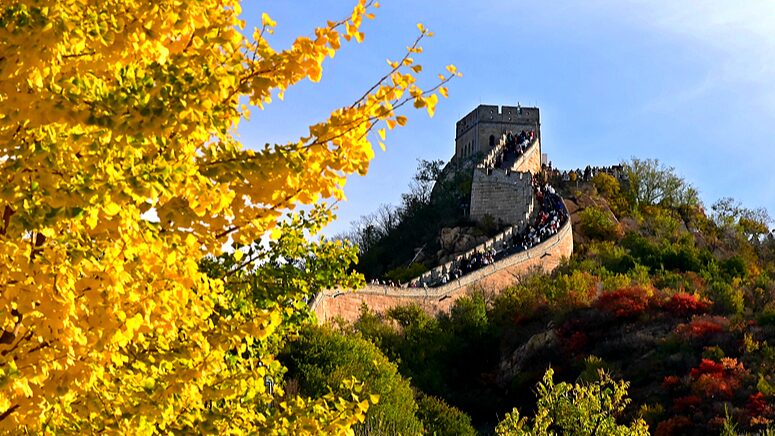 Autumn_Splendor_at_Badaling__Great_Wall_Basks_in_Seasonal_Colors - Khabar Asia Autumn_Splendor_at_Badaling__Great_Wall_Basks_in_Seasonal_Colors