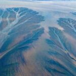 Autumn_Unveils_the_Tidal_Trees__Qiantang_River_s_Natural_Masterpiece_in_East_China