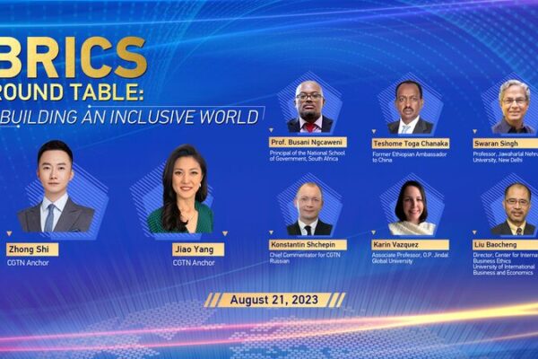 BRICS Round Table Discusses Inclusive Global Development Ahead of Johannesburg Summit video poster