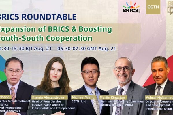BRICS Summit in Johannesburg: Expansion and Enhanced Cooperation video poster