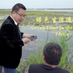 Baiyangdian Lake Restored: North China's Natural Gem Revived video poster