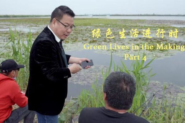 Baiyangdian Lake Restored: North China’s Natural Gem Revived Baiyangdian Lake Restored: North China's Natural Gem Revived video poster