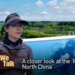Baiyangdian Lake's Revival: Unveiling the Pearl of North China's Underwater Beauty video poster