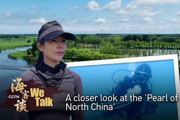 Baiyangdian Lake's Revival: Unveiling the Pearl of North China's Underwater Beauty video poster