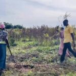 Bamboo_Revolution__Restoring_Kenya_s_Ecosystems_and_Livelihoods