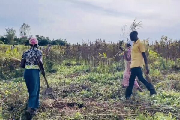 Bamboo Revolution: Restoring Kenya’s Ecosystems and Livelihoods Bamboo_Revolution__Restoring_Kenya_s_Ecosystems_and_Livelihoods