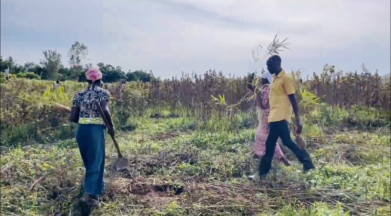 Bamboo_Revolution__Restoring_Kenya_s_Ecosystems_and_Livelihoods - Khabar Asia Bamboo_Revolution__Restoring_Kenya_s_Ecosystems_and_Livelihoods
