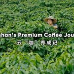 Baoshan_s_Coffee_Revolution__Young_Farmers_Brew_Prosperity_with_Modern_Infrastructure