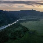 Battling_Desertification__Mongolia_Plants_84_Million_Trees_in_Ambitious__Billion_Trees__Campaign