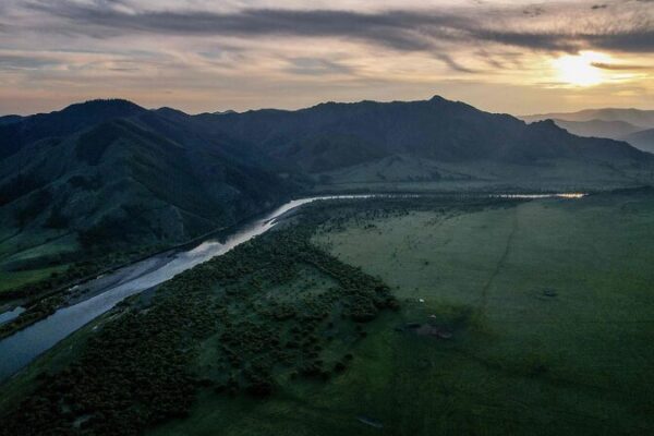 Battling Desertification: Mongolia Plants 84 Million Trees in Ambitious ‘Billion Trees’ Campaign Battling_Desertification__Mongolia_Plants_84_Million_Trees_in_Ambitious__Billion_Trees__Campaign