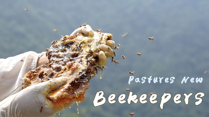 Beekeeping Sparks Eco-Friendly Growth in Gansu's Shengou Village video poster