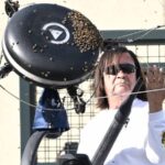 Bees Swarm Court, Interrupting Alcaraz-Zverev Showdown at Indian Wells