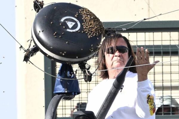 Bees Swarm Court, Interrupting Alcaraz-Zverev Showdown at Indian Wells Bees Swarm Court, Interrupting Alcaraz-Zverev Showdown at Indian Wells