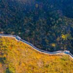 Beijing_Aims_for_45__Forest_Coverage_by_2025