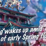 Beijing in Bloom: Cherry and Peach Blossoms Usher in Spring video poster