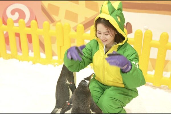 Beijing’s Off-Season Snow Play Becomes Summer’s Coolest Trend Beijing_s_Off_Season_Snow_Play_Becomes_Summer_s_Coolest_Trend video poster
