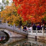Beijing_s_Xiangshan_Park_Unveils_Stunning_Autumn_Foliage_as__Message_Trees__Turn_Red