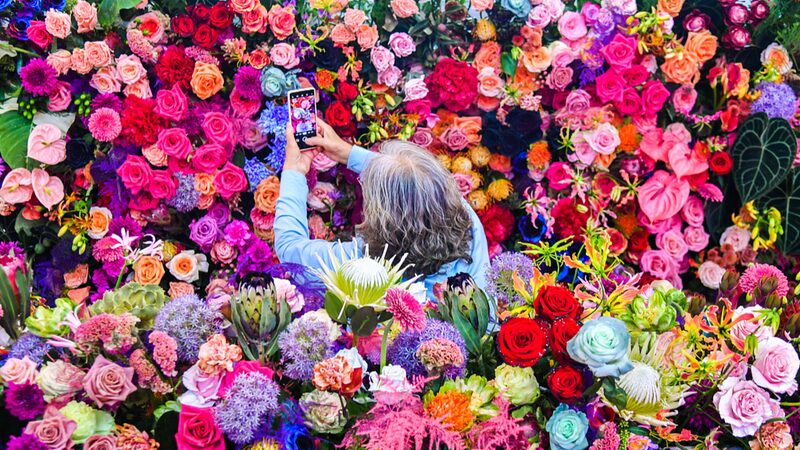 Beijings_Hortiflorexpo_IPM_Showcases_Over_1000_International_Flower_Varieties - Khabar Asia Beijing's Hortiflorexpo IPM Showcases Over 1,000 International Flower Varieties