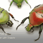 Beijing's Insect Enthusiast Inspires Children to Protect Nature video poster