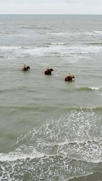 Belgian_Horseback_Shrimp_Fishermen_Keep_Ancient_Tradition_Alive_poster - Khabar Asia Belgian_Horseback_Shrimp_Fishermen_Keep_Ancient_Tradition_Alive video poster