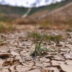 Bengaluru Faces Early Water Crisis Amid Weak Monsoon Rains