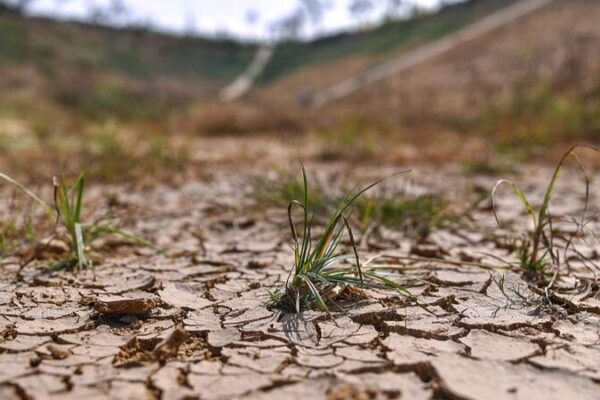 Bengaluru Faces Early Water Crisis Amid Weak Monsoon Rains Bengaluru Faces Early Water Crisis Amid Weak Monsoon Rains