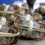 Binding_Hairy_Crabs__A_Risky_but_Rewarding_Craft video poster