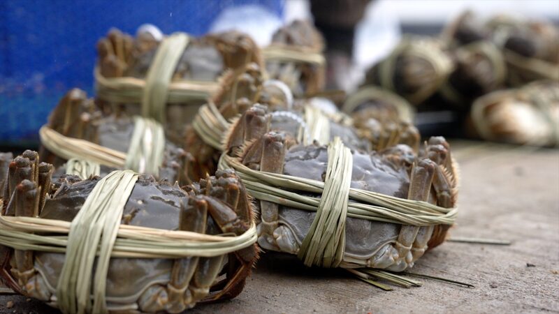 Binding_Hairy_Crabs__A_Risky_but_Rewarding_Craft video poster