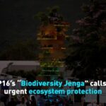 Biodiversity_Jenga_at_COP16__A_Call_for_Urgent_Ecosystem_Protection
