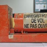 Bird_Strike_Causes_Deadly_Plane_Crash_in_South_Korea__Black_Box_Stopped_Recording