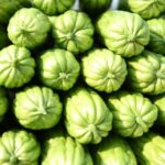Bitter Gourd Harvest Kicks Off in Hainan's Fengmu Town