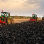 Black_Soil__The__Panda_of_Farmland__Nourishing_China_s_Northeast