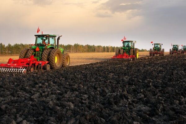 Black Soil: The ‘Panda of Farmland’ Nourishing China’s Northeast Black_Soil__The__Panda_of_Farmland__Nourishing_China_s_Northeast