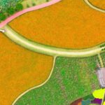 Blooming_Paradise__Holland_Flower_Park_in_Jiangsu_Transforms_into_a_Floral_Wonderland