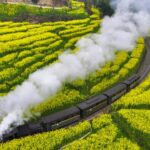 Blooming Rapeseed Fields and Steam Trains Draw Tourists to Leshan's Jiayang Railway