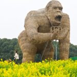 Blooming Rapeseed Flowers and Art Installations Transform Suzhou's Peninsula Pastoral