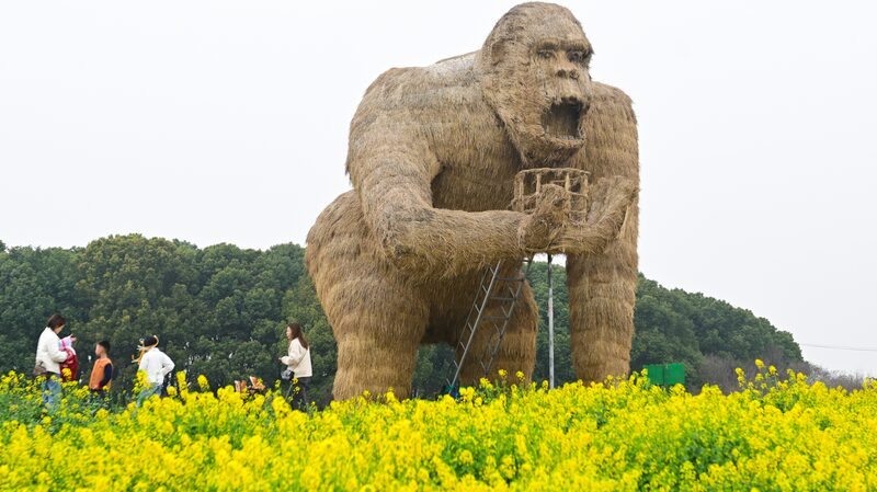 Blooming Rapeseed Flowers and Art Installations Transform Suzhou's Peninsula Pastoral