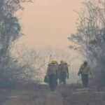 Bolivia_Declares_National_Emergency_Amid_Raging_Forest_Fires