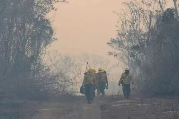 Bolivia_Declares_National_Emergency_Amid_Raging_Forest_Fires