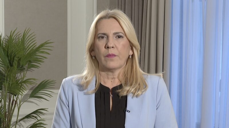 Bosnia_and_Herzegovina_s_Chairwoman_Sends_Lunar_New_Year_Wishes_to_Chinese_People video poster